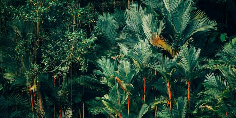 Join the Green Views Photo Contest and win HP Portable Printer ...